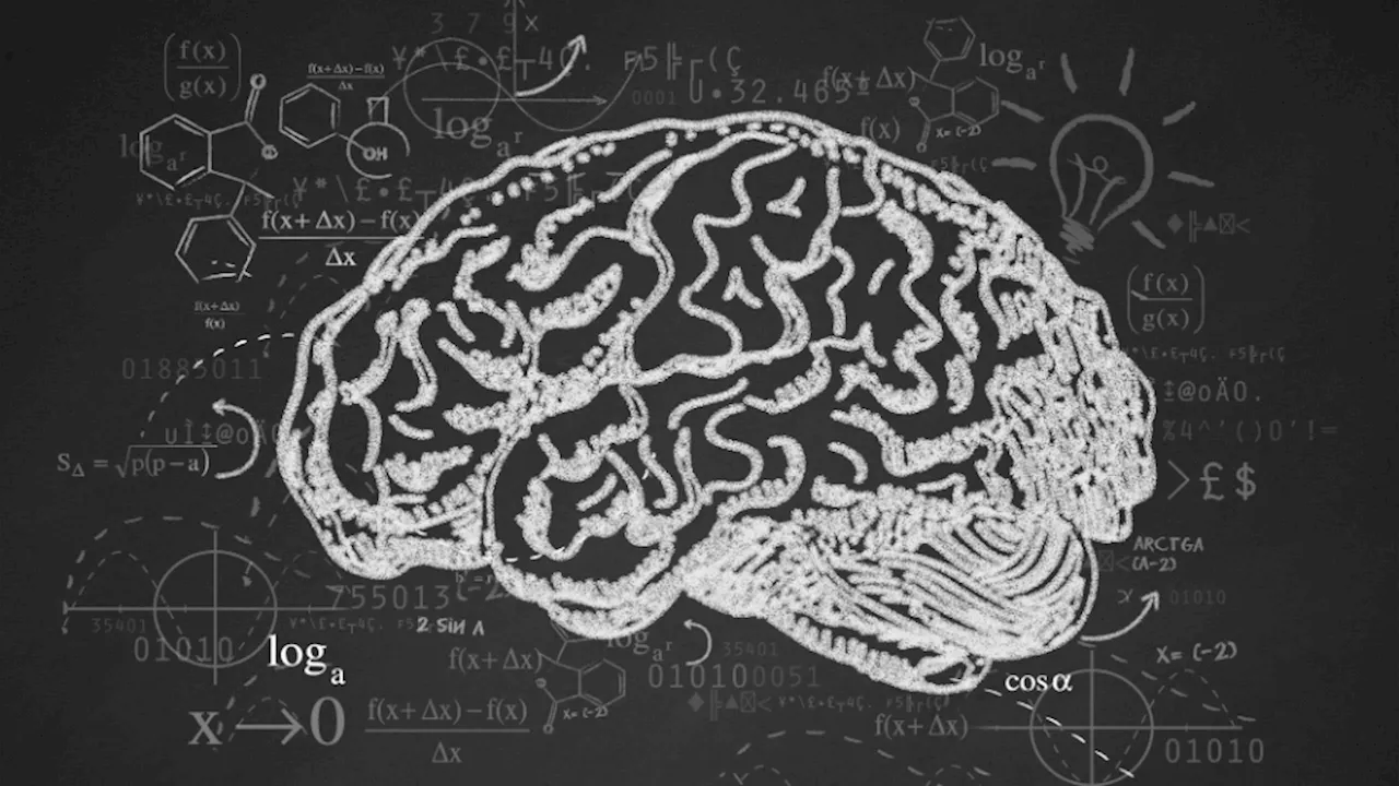 Scientists explore where consciousness arises in the brain