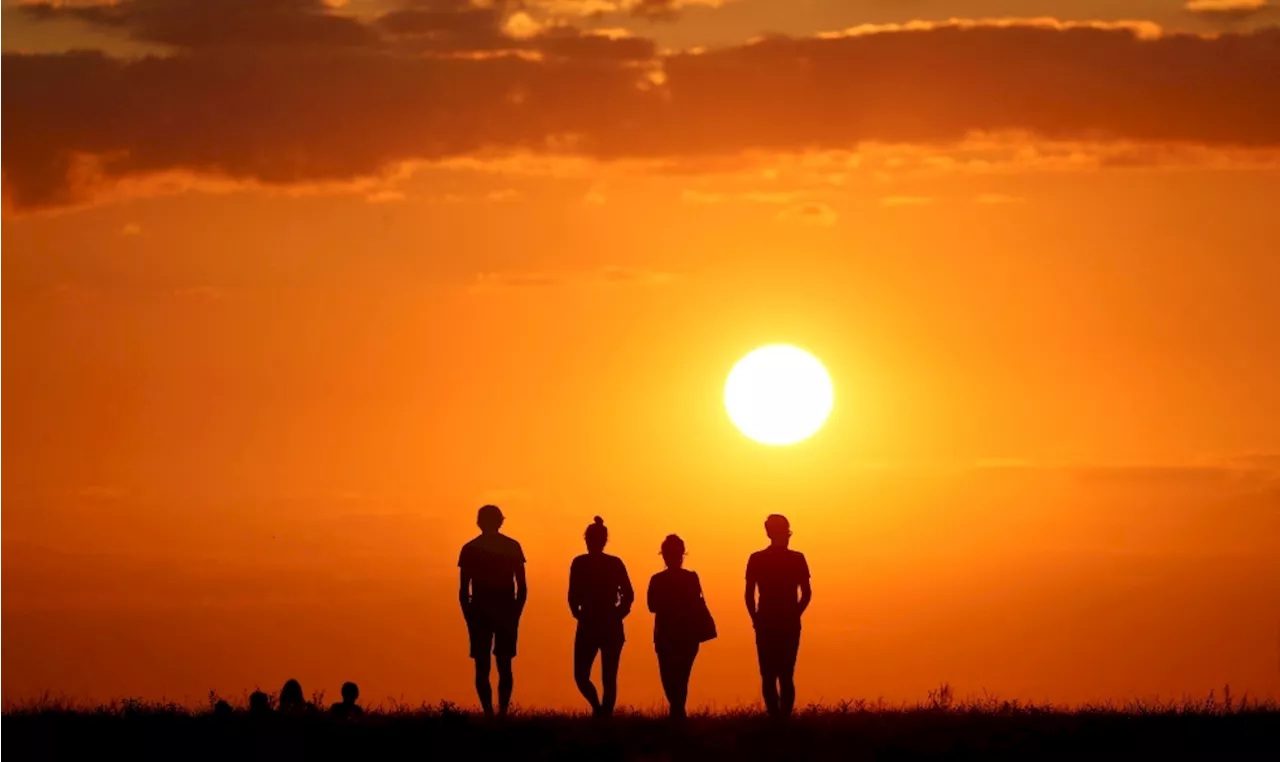 Where does consciousness live? Scientists say it may not be in our ‘smart’ brain at all