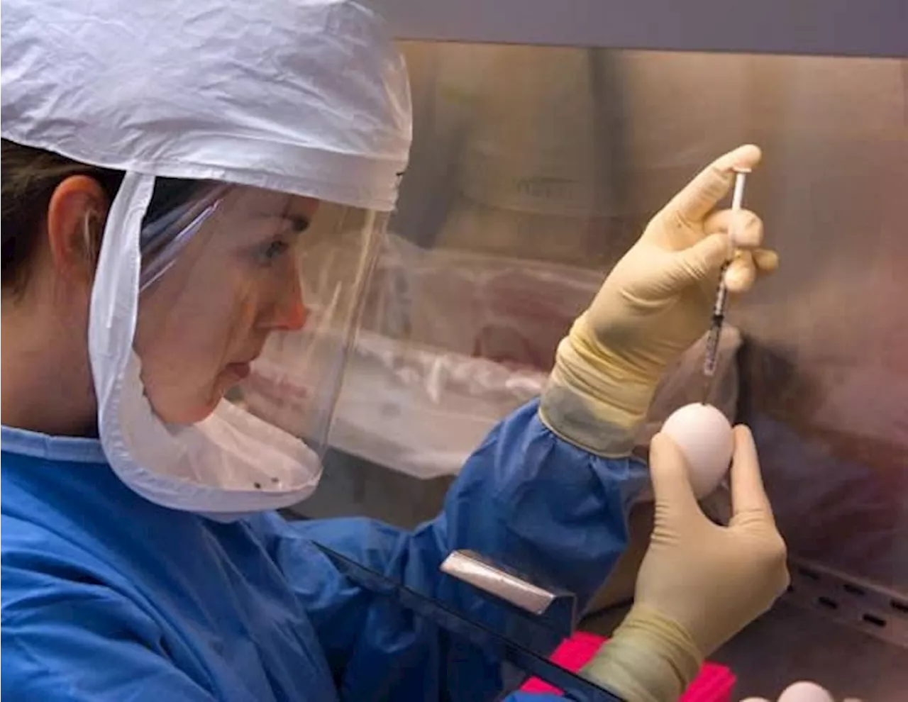 HHS and NIH announce the development of next-generation, universal vaccine platform