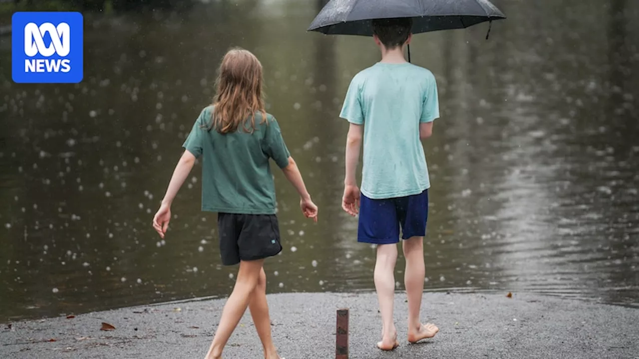 Independent review into ex-Tropical Cyclone Alfred praises Brisbane City Council response