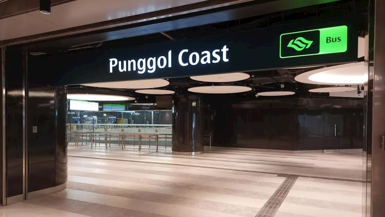 New Punggol Coast bus interchange to open on Jun 29