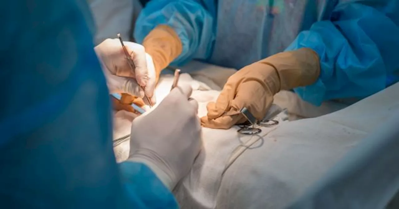 El avance médico del siglo: ahora se puede trasplantar un órgano que se creía imposible