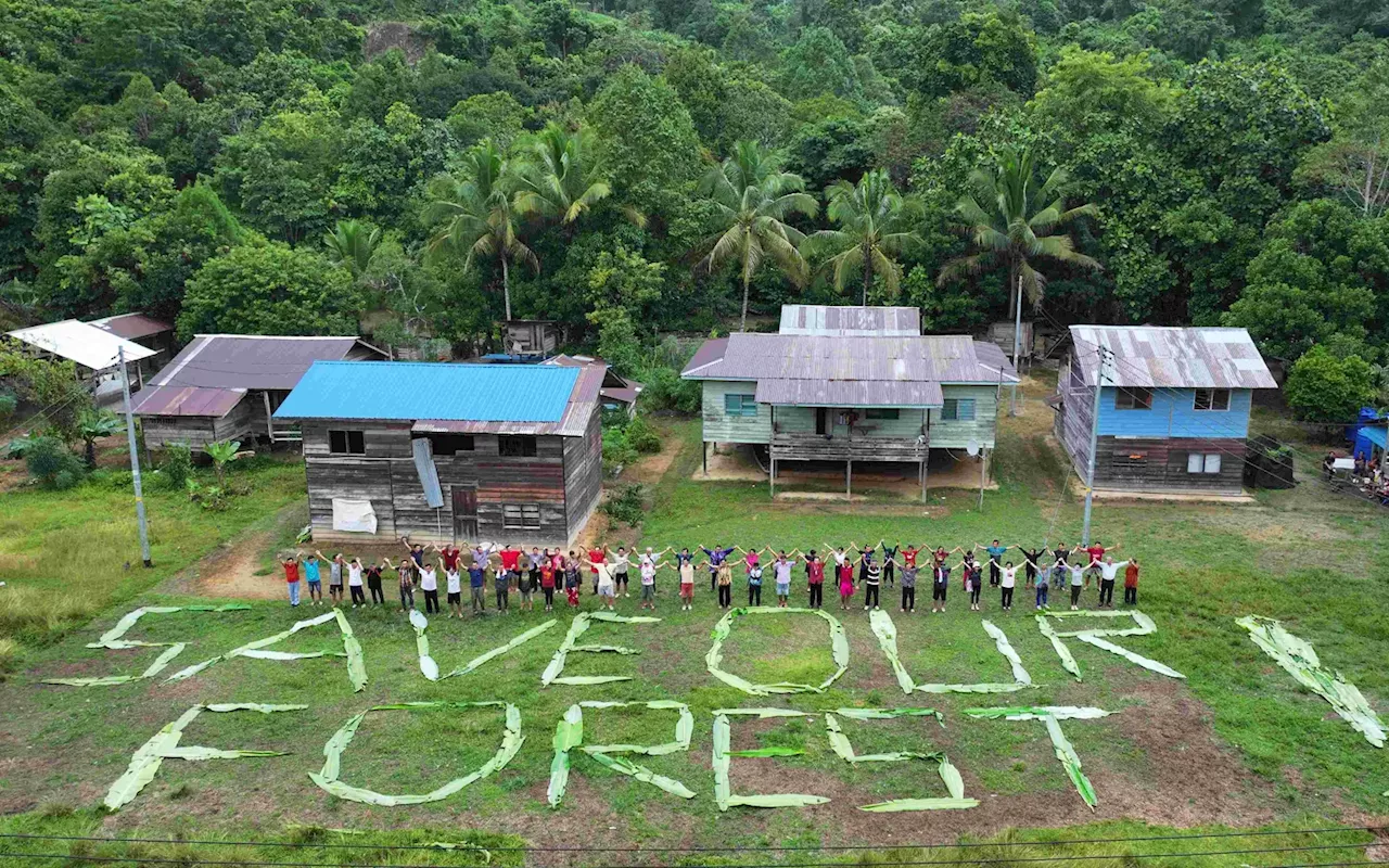 Don’t blame us for scrapping of forest project, says group