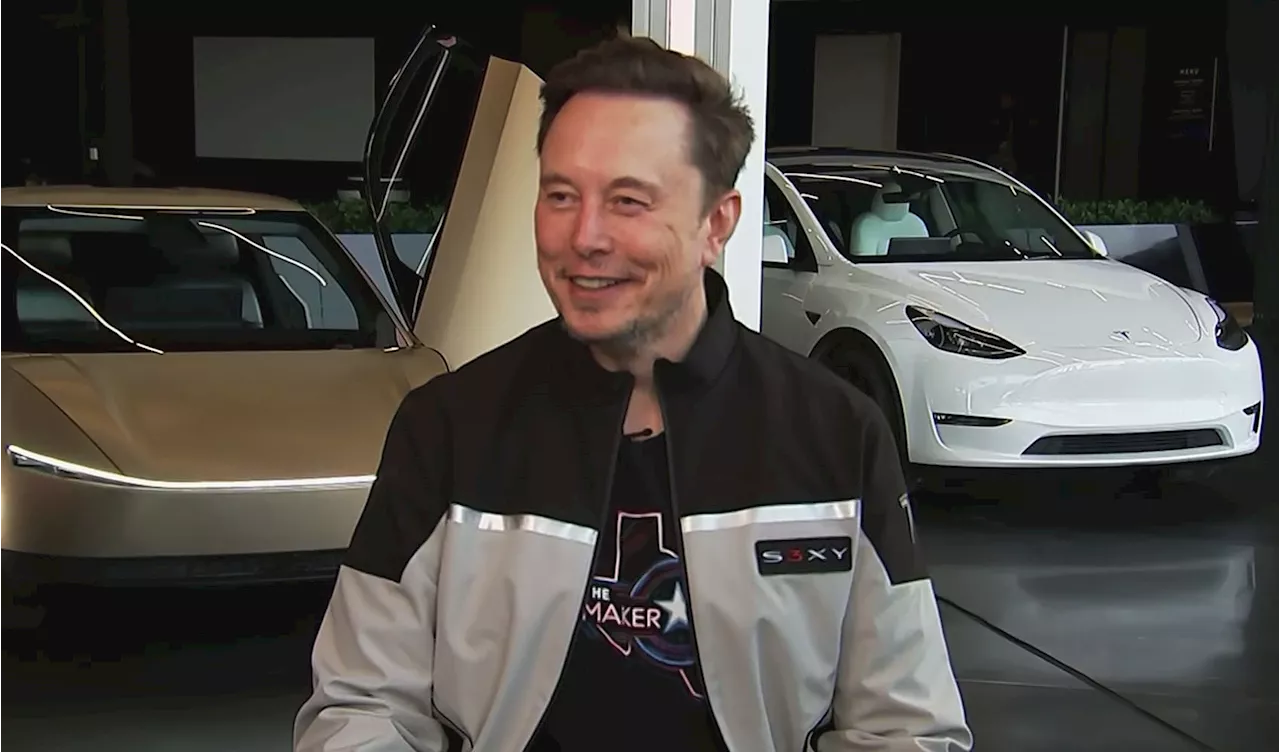 Elon Musk says Tesla, xAI expect to keep buying chips from Nvidia and AMD