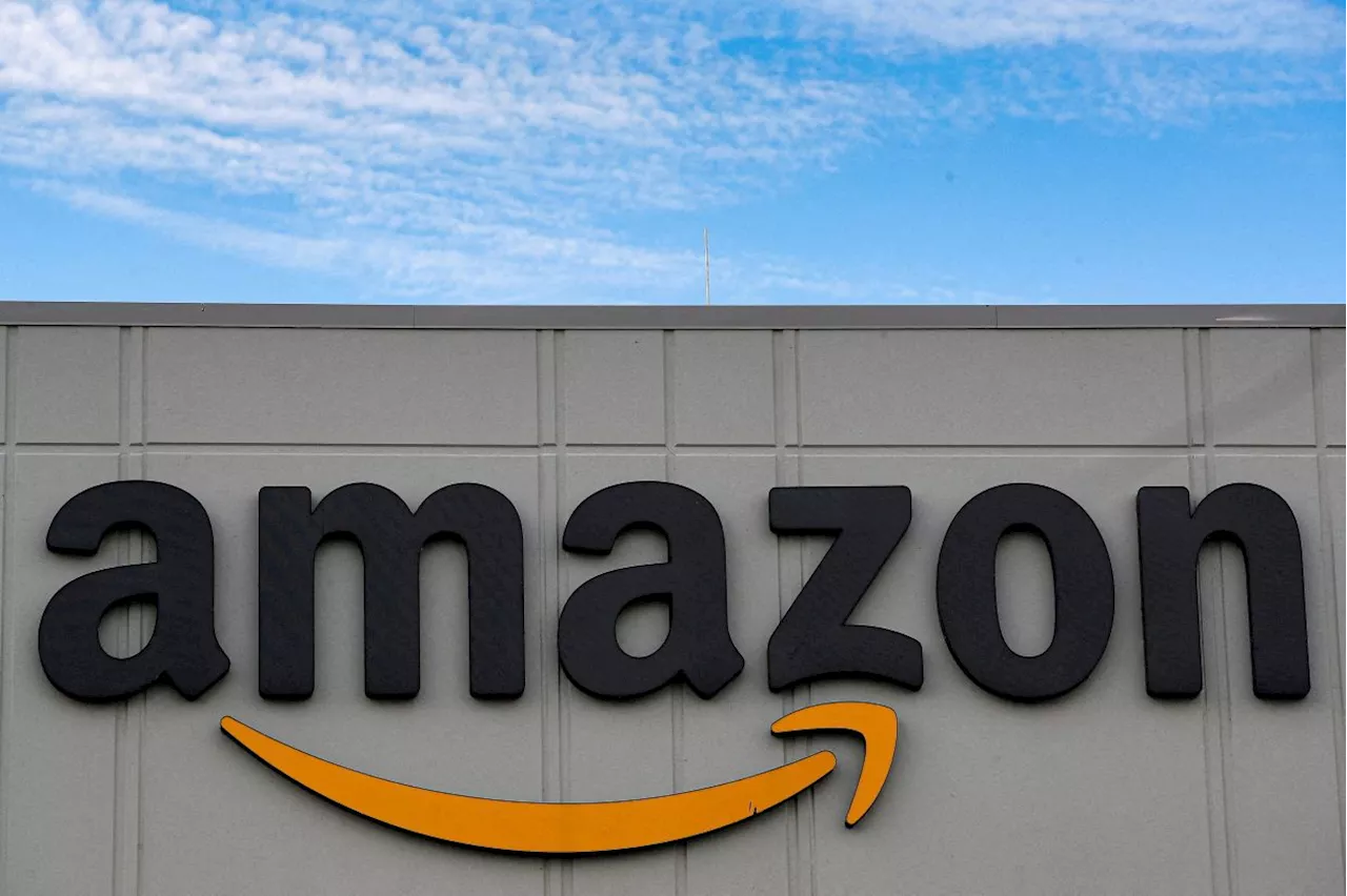 Amazon removed backup landing sensors before drone crashes