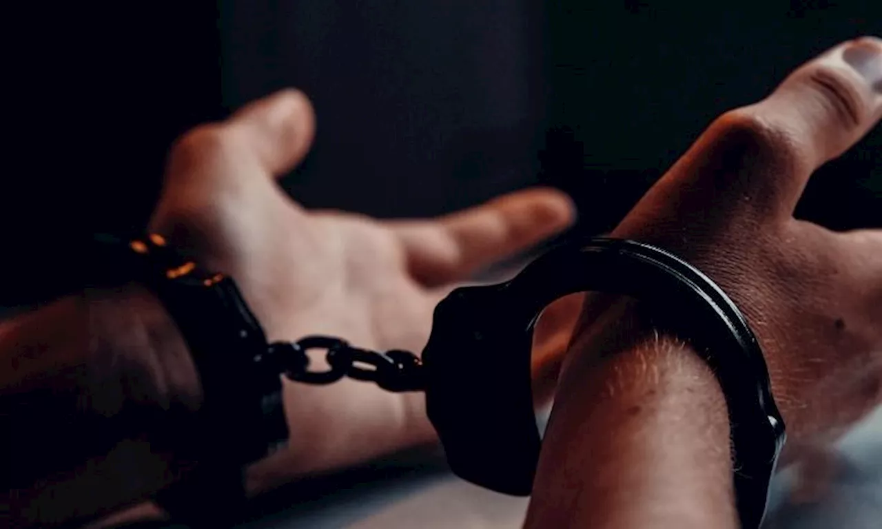 Man steals from grandfather’s garden hut, jailed with accomplice