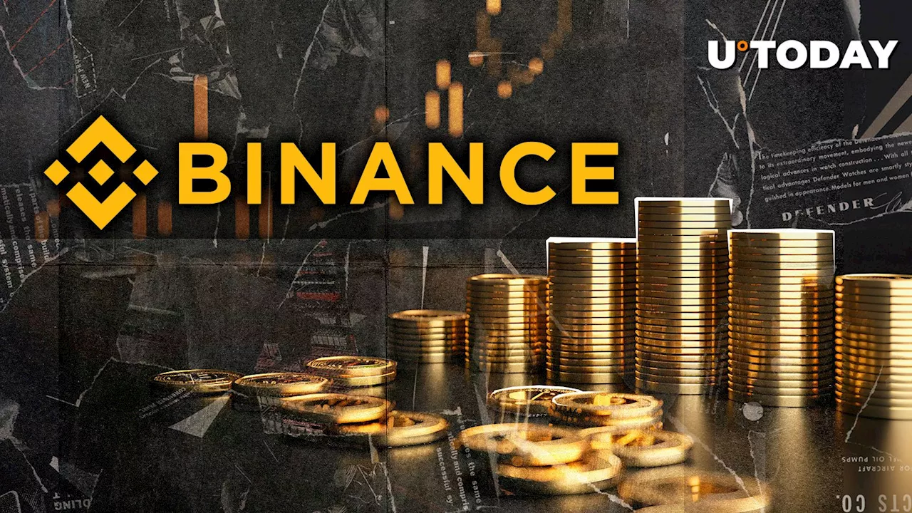 Insane: Binance Wallet Grabs 95% DEX Market Share