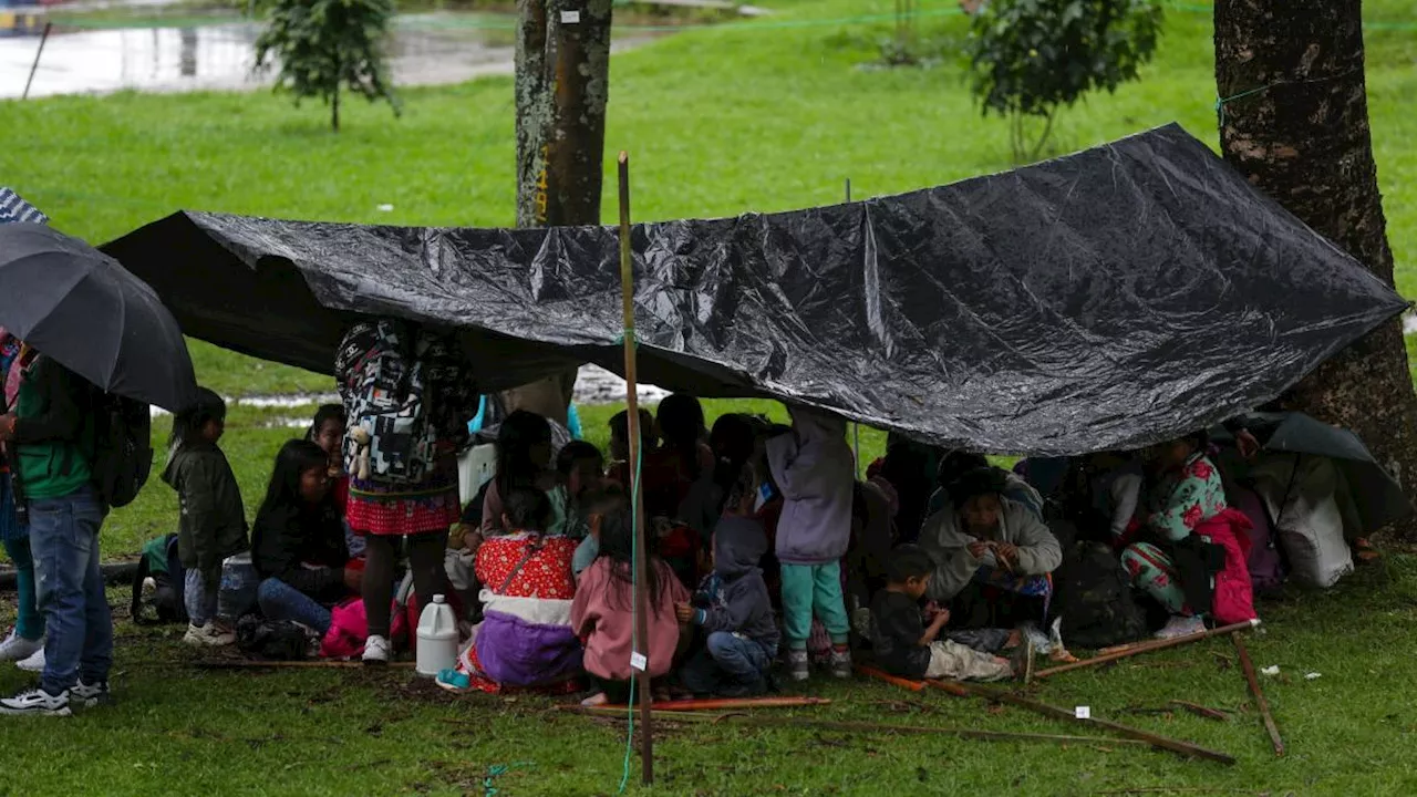 Así instrumentalizan a niños emberá en la toma del parque Nacional: el secretario de Integración es testigo directo