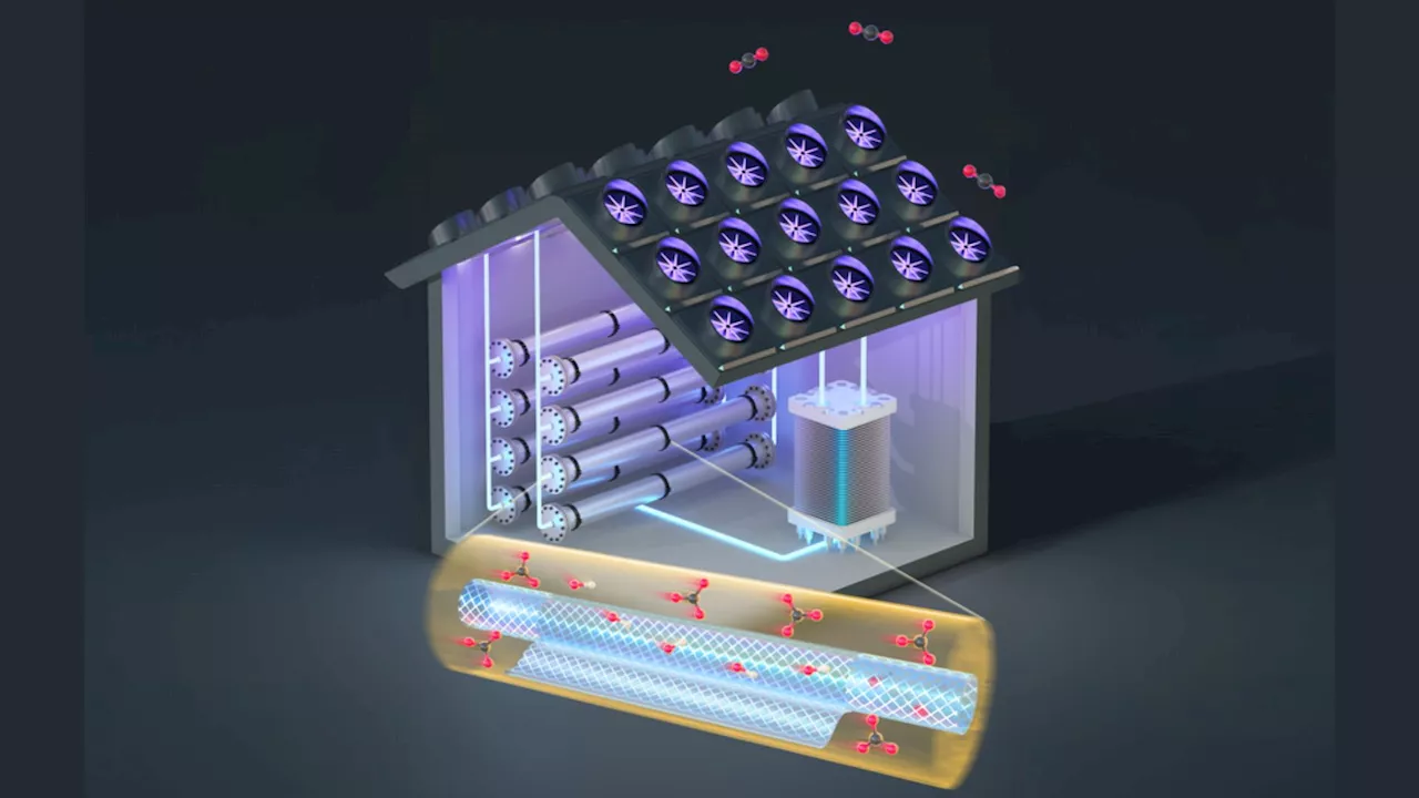 MIT’s super carbon sucking tech is 6 times faster, 20% cheaper than rivals