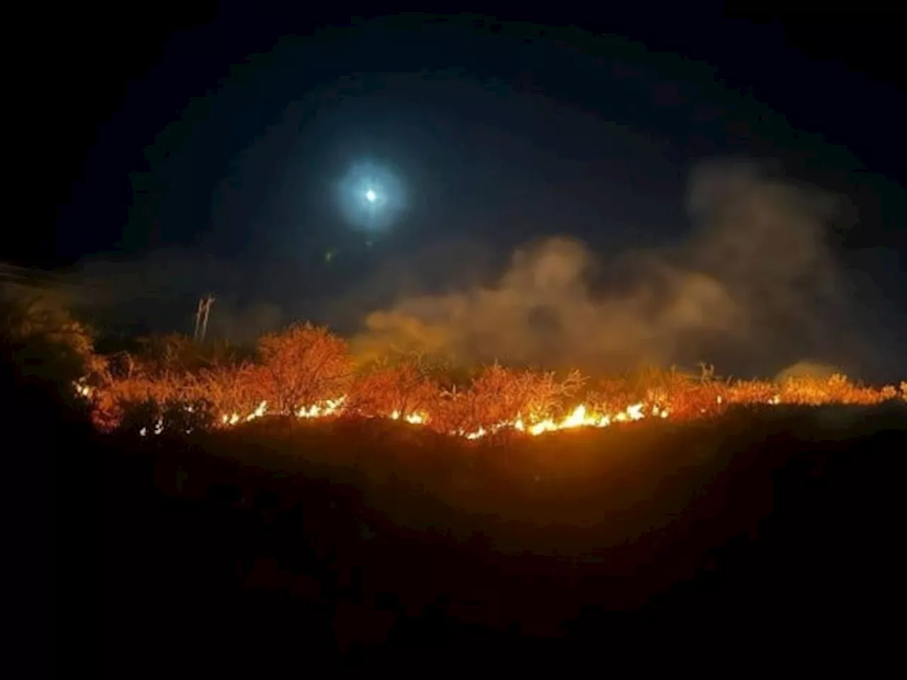 Incendio forestal consume 4 hectáreas en cerros del Acceso Diego Rivera en Guanajuato