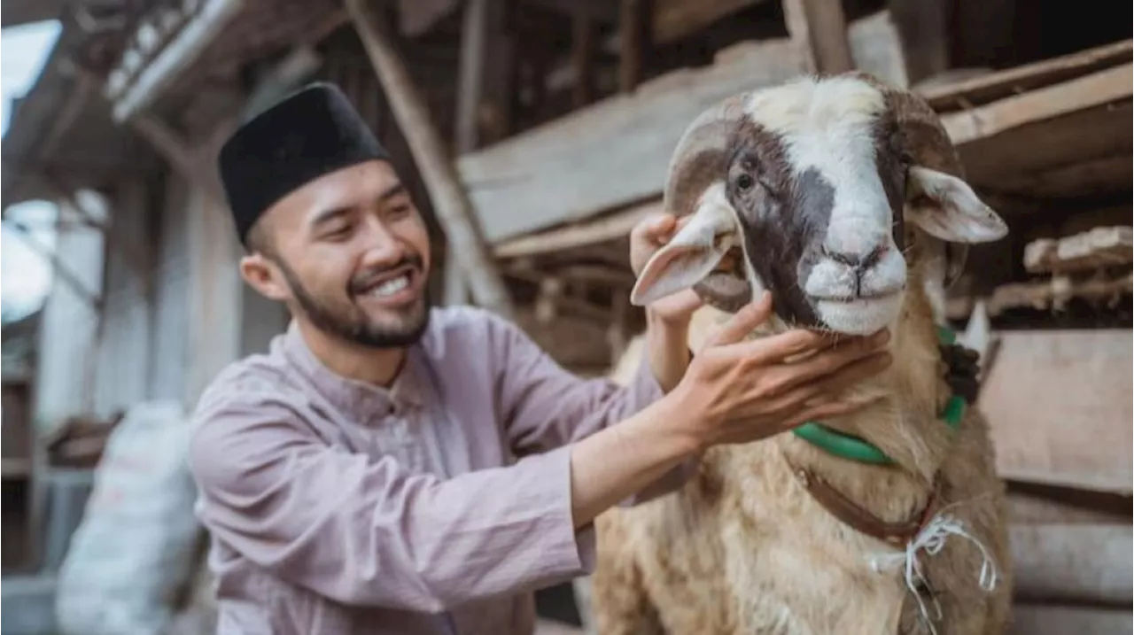 Bacaan Doa Menyembelih Hewan Kurban Lengkap Sesuai Sunnah Rasulullah SAW