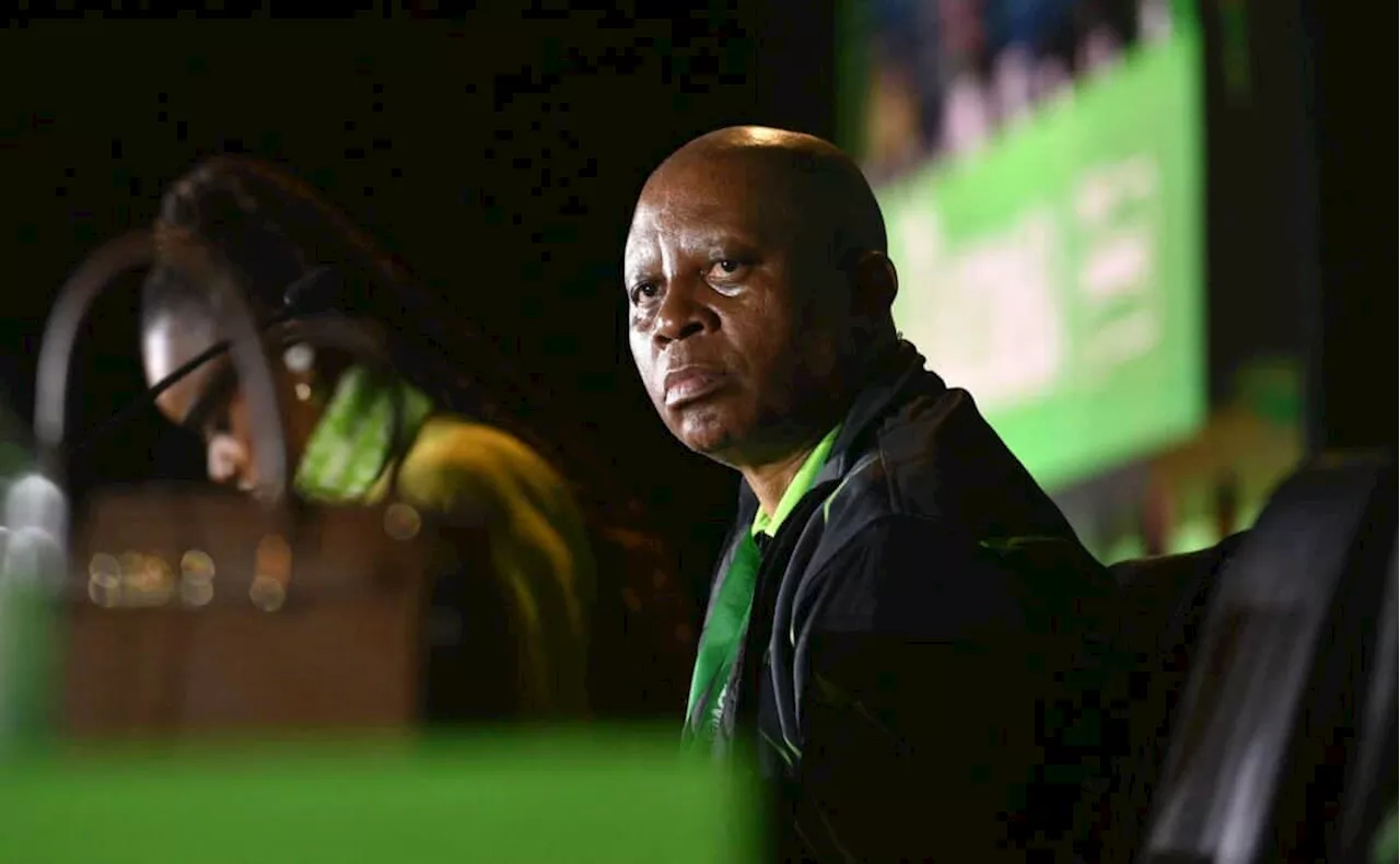 Mashaba slams tertiary institutions for hiring foreign academics