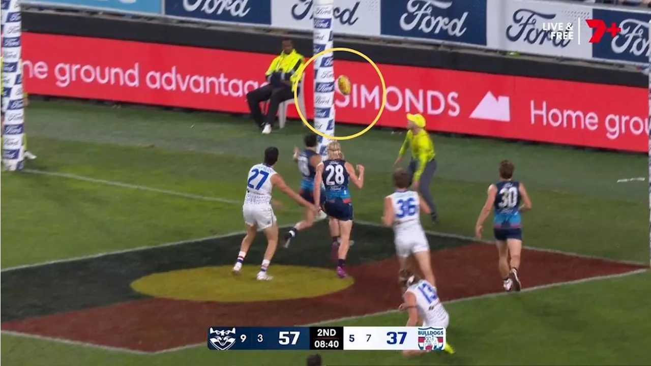 Geelong coach Chris Scott questions AFL’s goal-line technology after controversial review