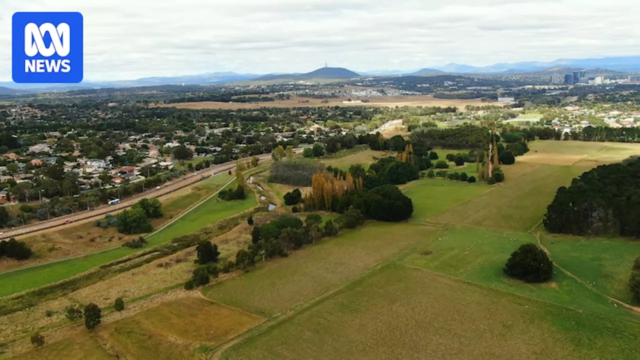 Calls for government to 'get on with' CSIRO Ginninderra Experiment Station land sale after three-year delay
