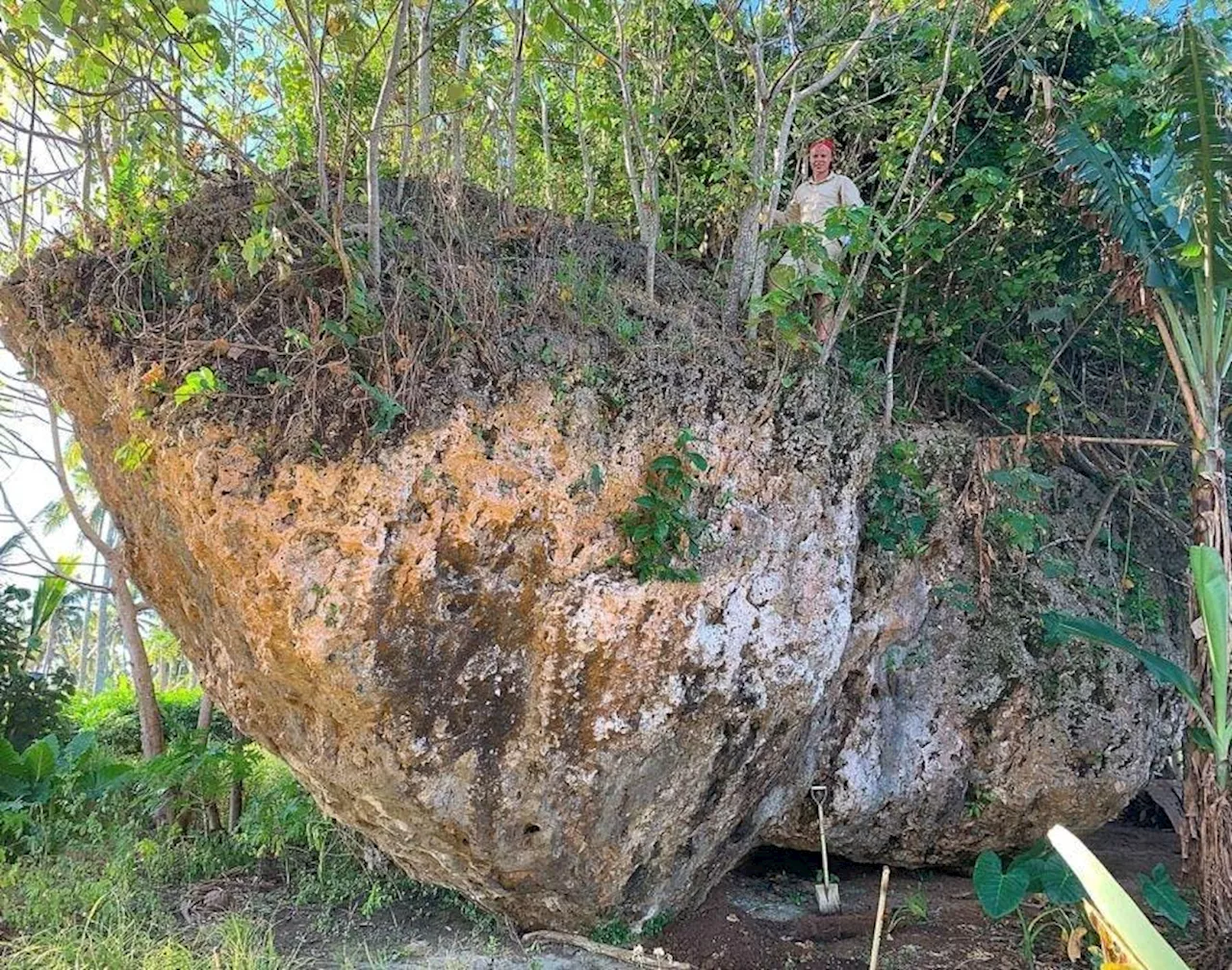 Researchers Stumble Over World’s Largest Known Tsunami-Transported Rock