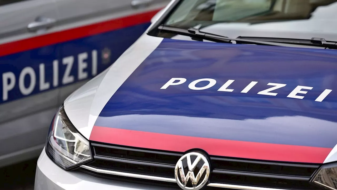 Wilde Szenen in Wien und NÖ - Auf Flucht vor Polizei – Pkw-Lenker überschlägt sich