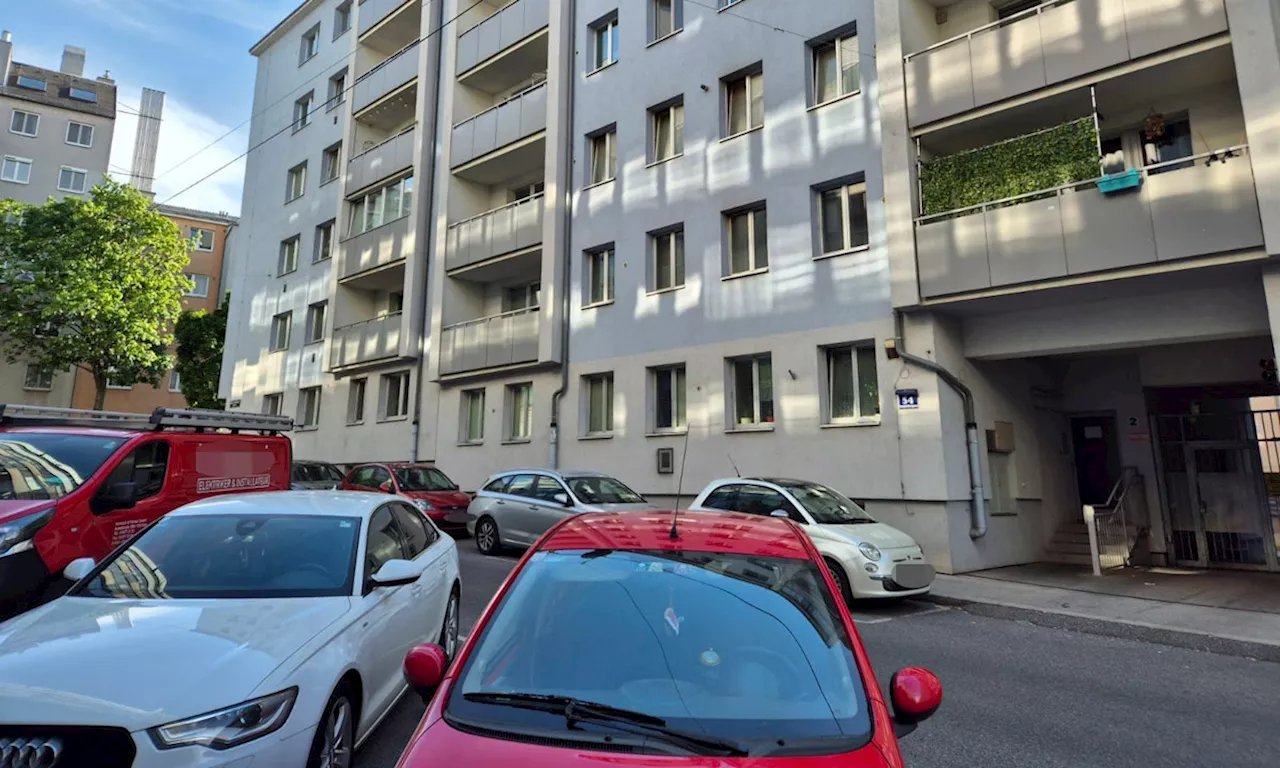  Wohn-Albtraum in Wien! Mieterin droht mit Küchenmesser