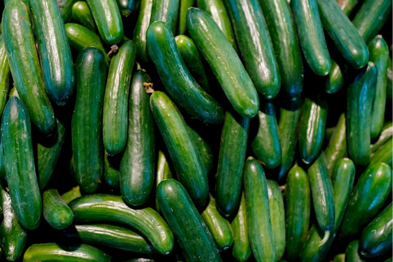 Heads Up: There’s Another Massive Cucumber Recall Happening Right Now