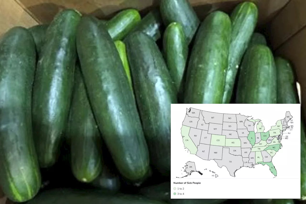 Cucumber recall linked to salmonella outbreak sickening dozens across 15 states — including NY