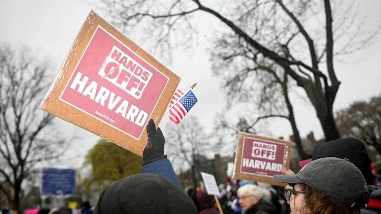 Harvard vietata agli stranieri, un giudice accoglie la mozione dell'ateneo e blocca la stretta di Trump