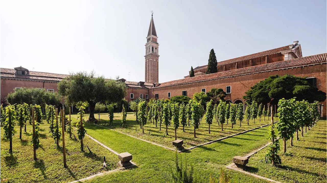 Primo report sulle vigne urbane, Italia prima in Ue con 32