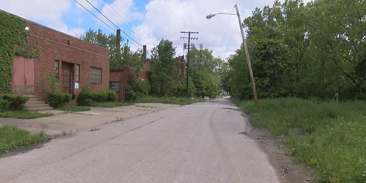 Blighted area of East Cleveland undergoes major cleanup