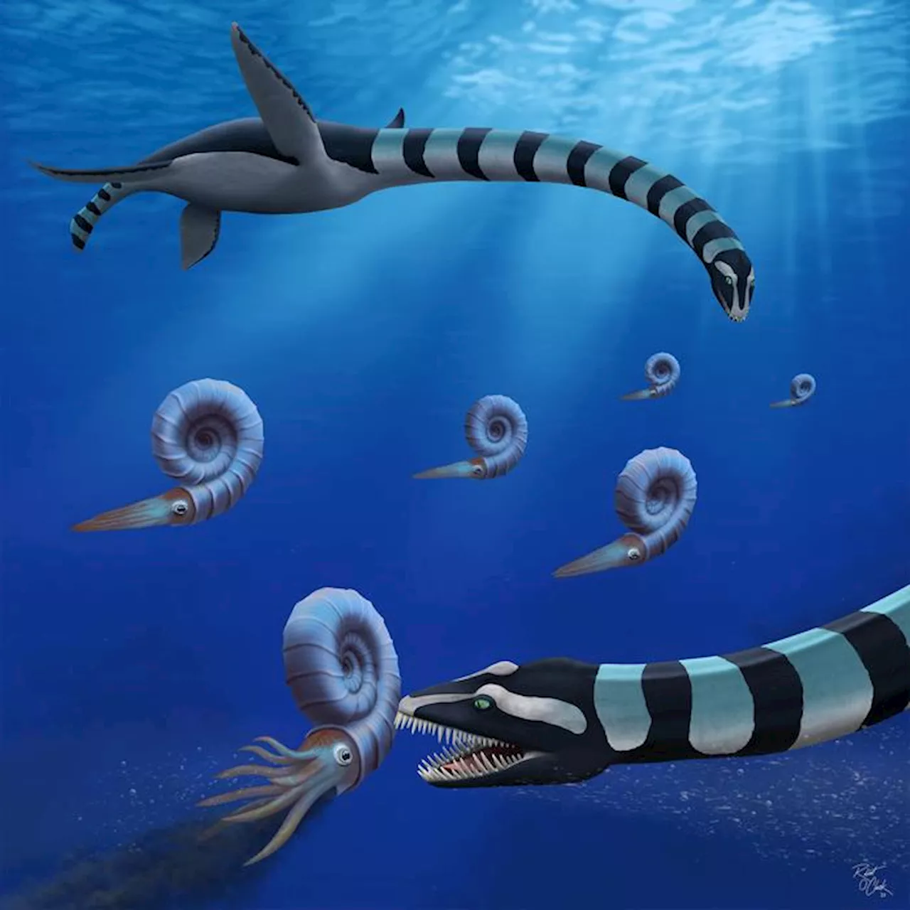 Mystery Fossils of Fierce, Prehistoric Marine Predator with a 40-Foot Neck Identified