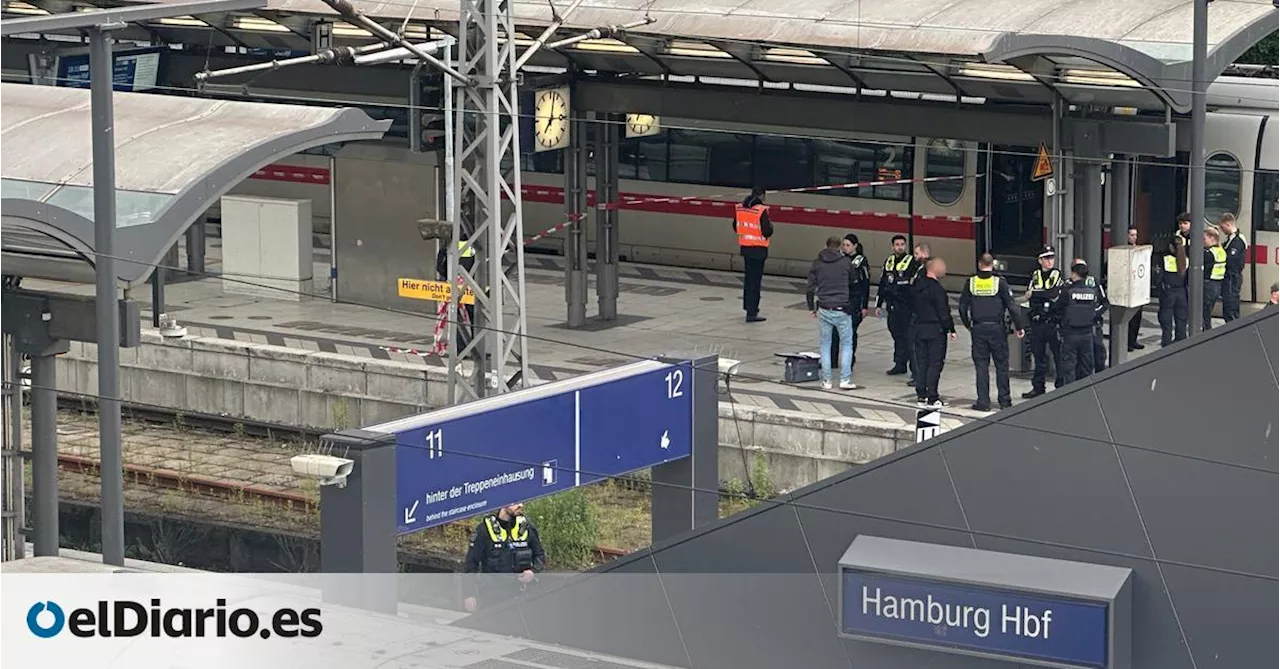 Al menos 12 heridos en un ataque con cuchillo en la estación de Hamburgo