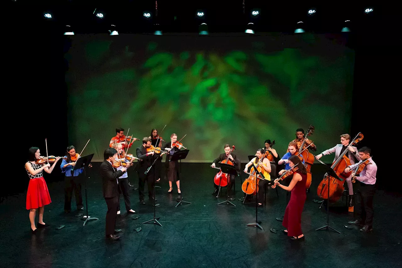 Best Bets: Dancin’ in the Street, Holy Cow, and Bruce Liu