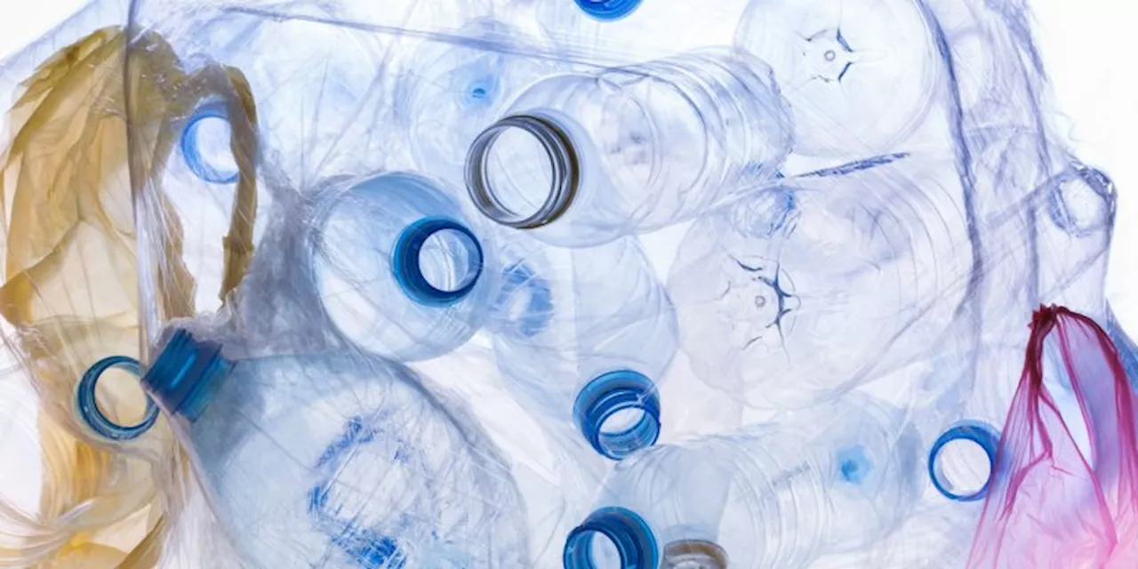 New Study Reveals How Plastics Can Sneak Heavy Metals Into Your Body