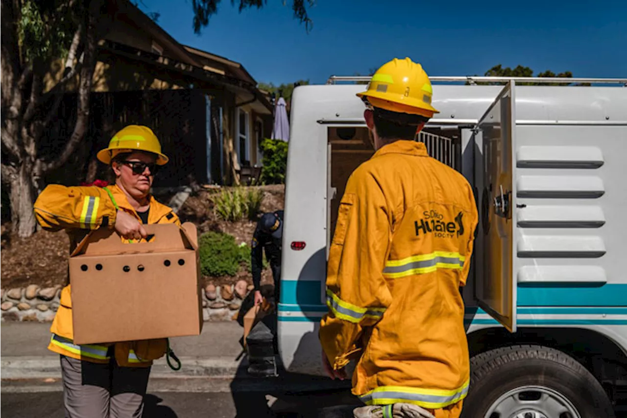 Several dead in fiery plane crash in San Diego
