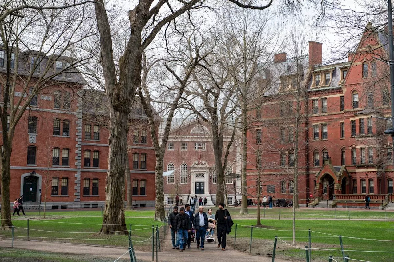 Dismayed Chinese students ponder prospects after Trump Harvard ban