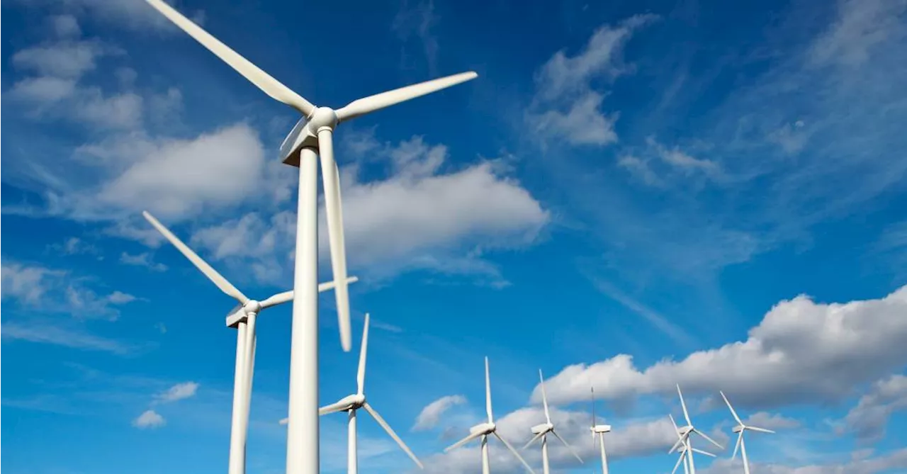 Renova Energia recorre de decisão que anulou aumento de capital