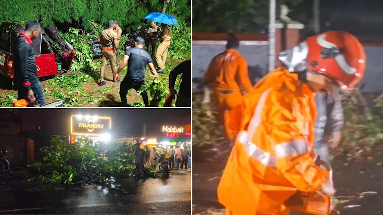 Thiruvananthapuram Heavy Rain: മരങ്ങൾ കടപുഴകി വീണു, താഴ്ന്ന പ്രദേശങ്ങളിൽ വെള്ളക്കെട്ട്; തലസ്ഥാനത്ത് ശക്തമായ കാറ്റിലും മഴയിലും നാശനഷ്ടം