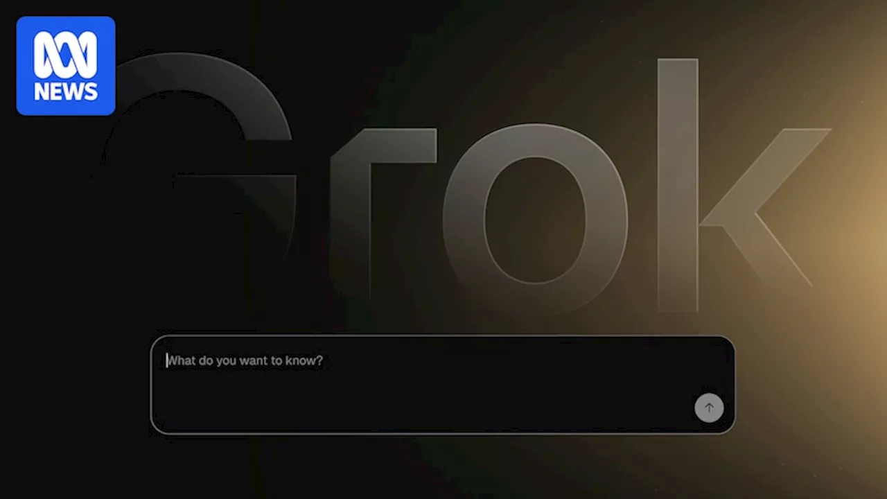 For hours, chatbot Grok wanted to talk about a 'white genocide'. It gave a window into the pitfalls of AI
