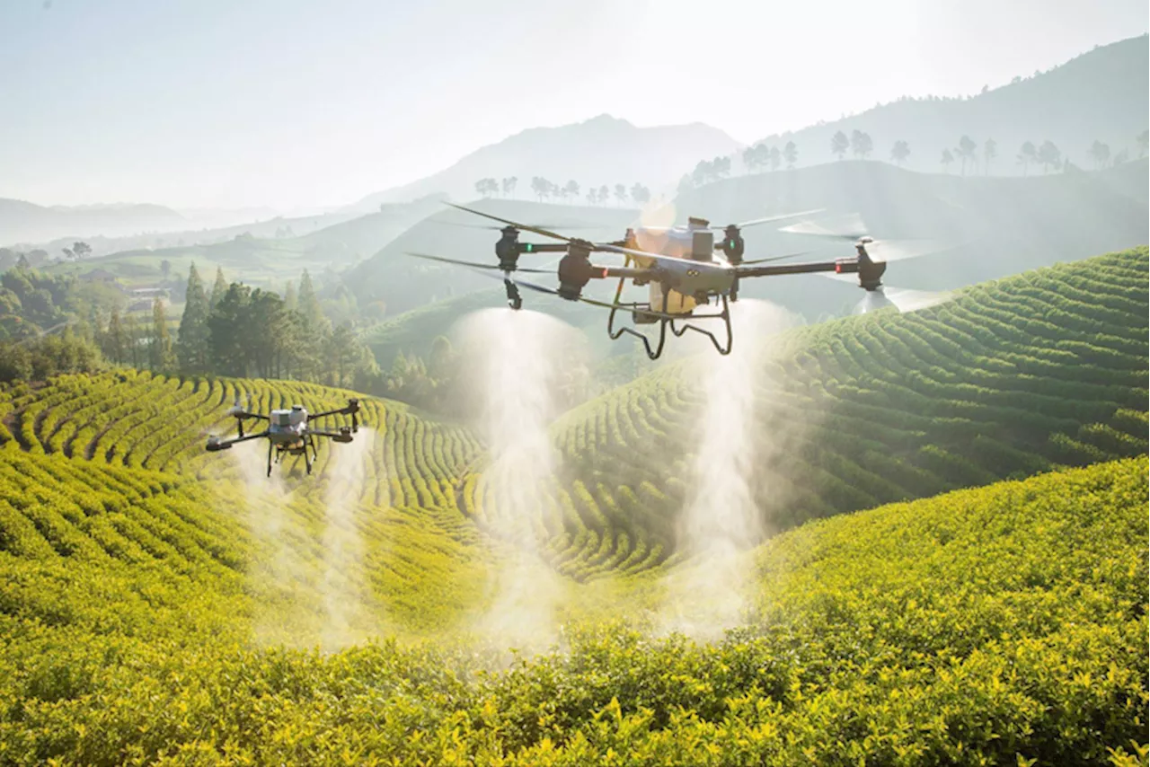 DJI launches agriculture drones in the Philippines to enhance precision farming practices