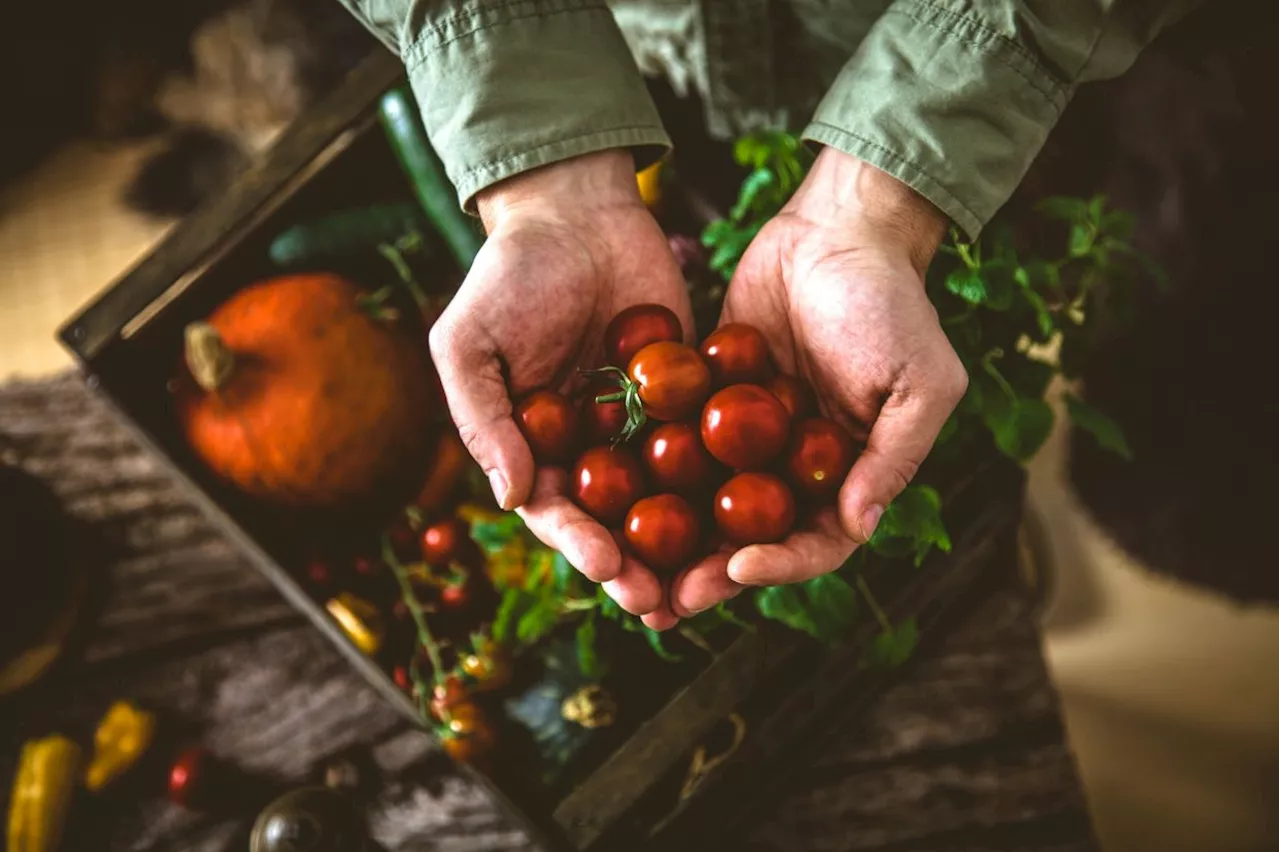 Eat fibre to lower PFAS levels in the body