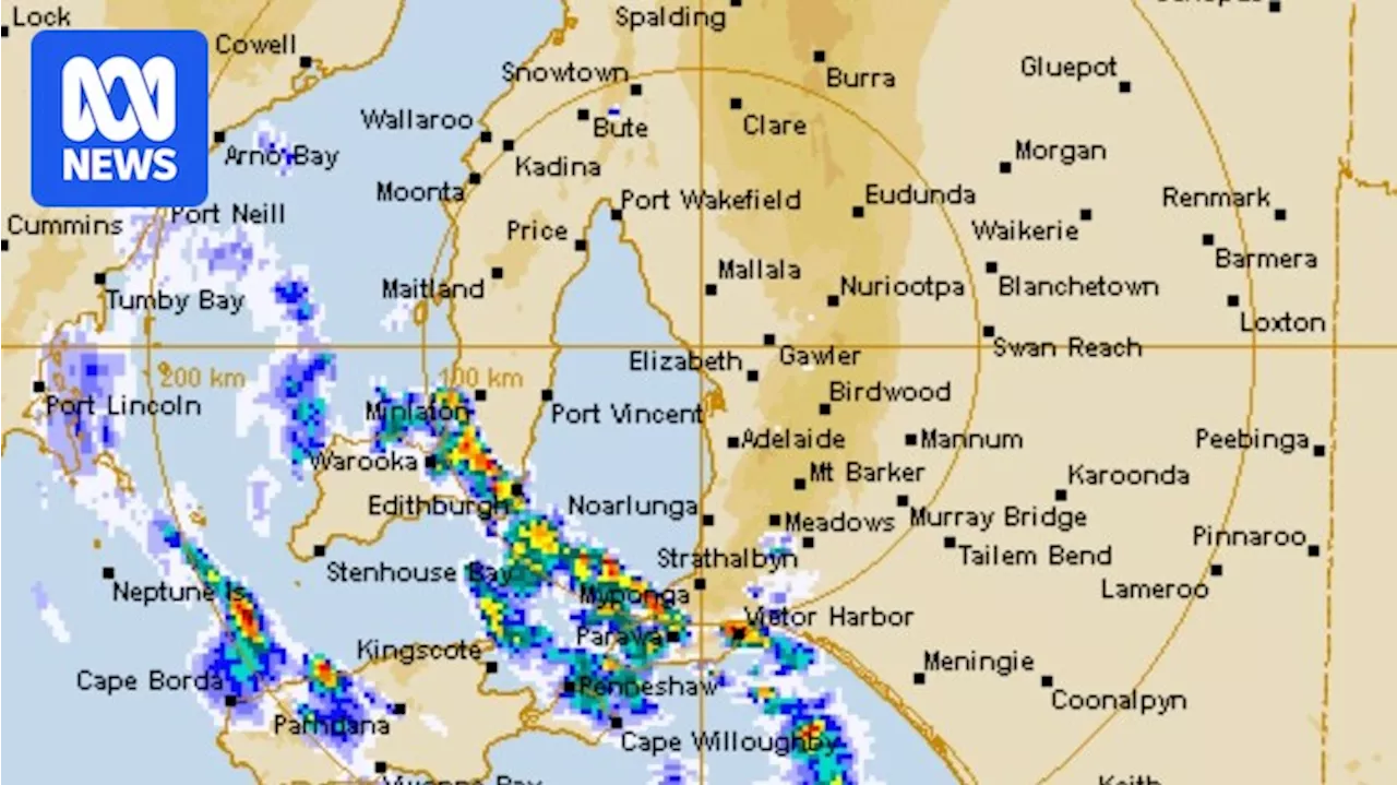 Weather set to turn wild as strong winds and rain push across SA