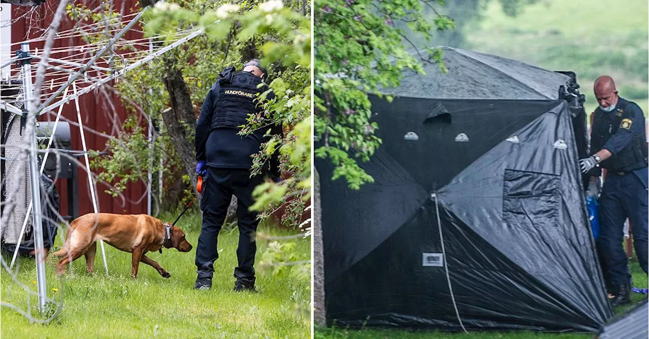 Psykotisk man misstänks ha mördat pensionerad polis