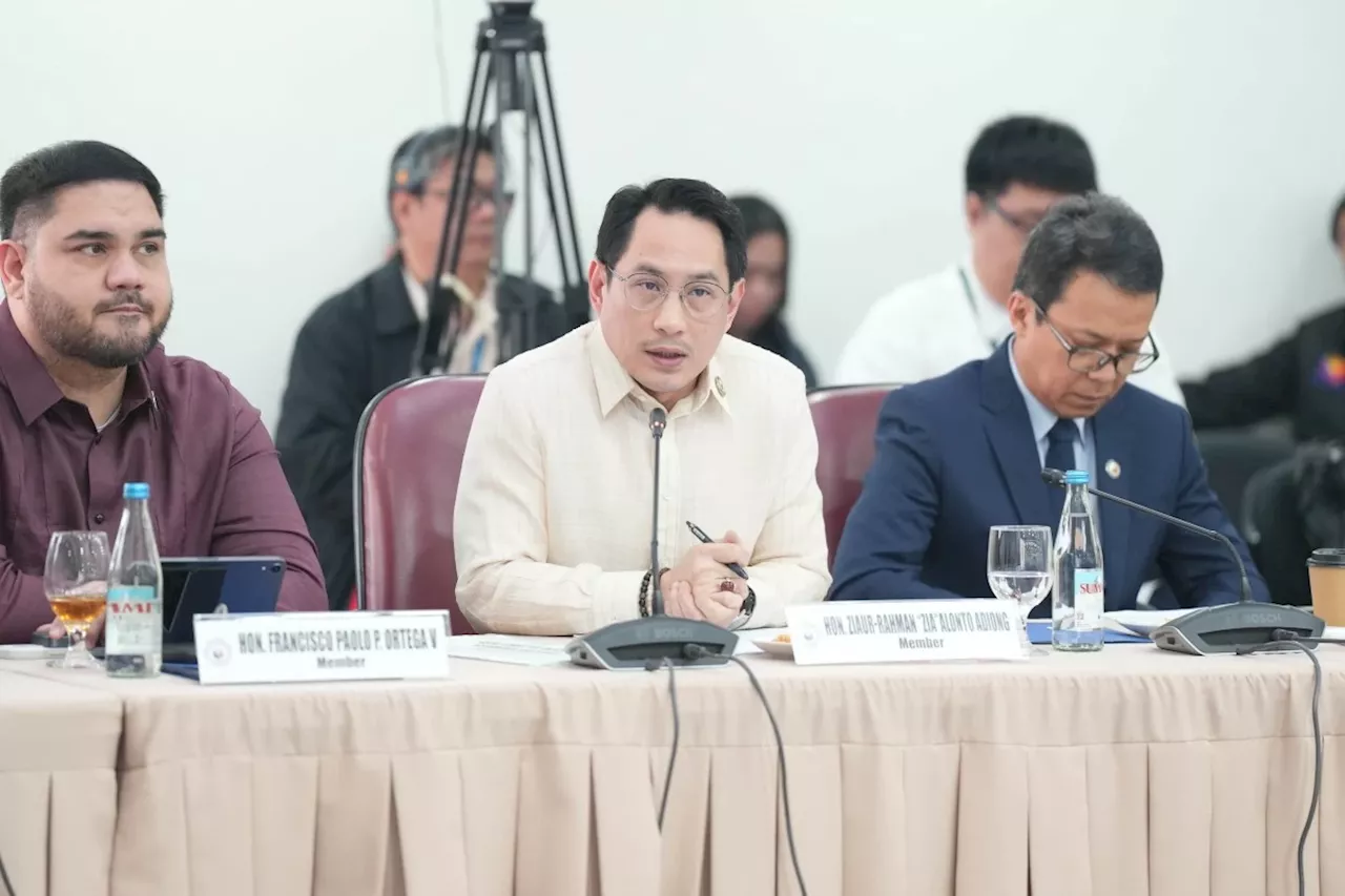 Adiong: Leave it to agencies to verify 'Chel Diokno', 'Marian Rivera' link in VP Duterte confidential funds mess
