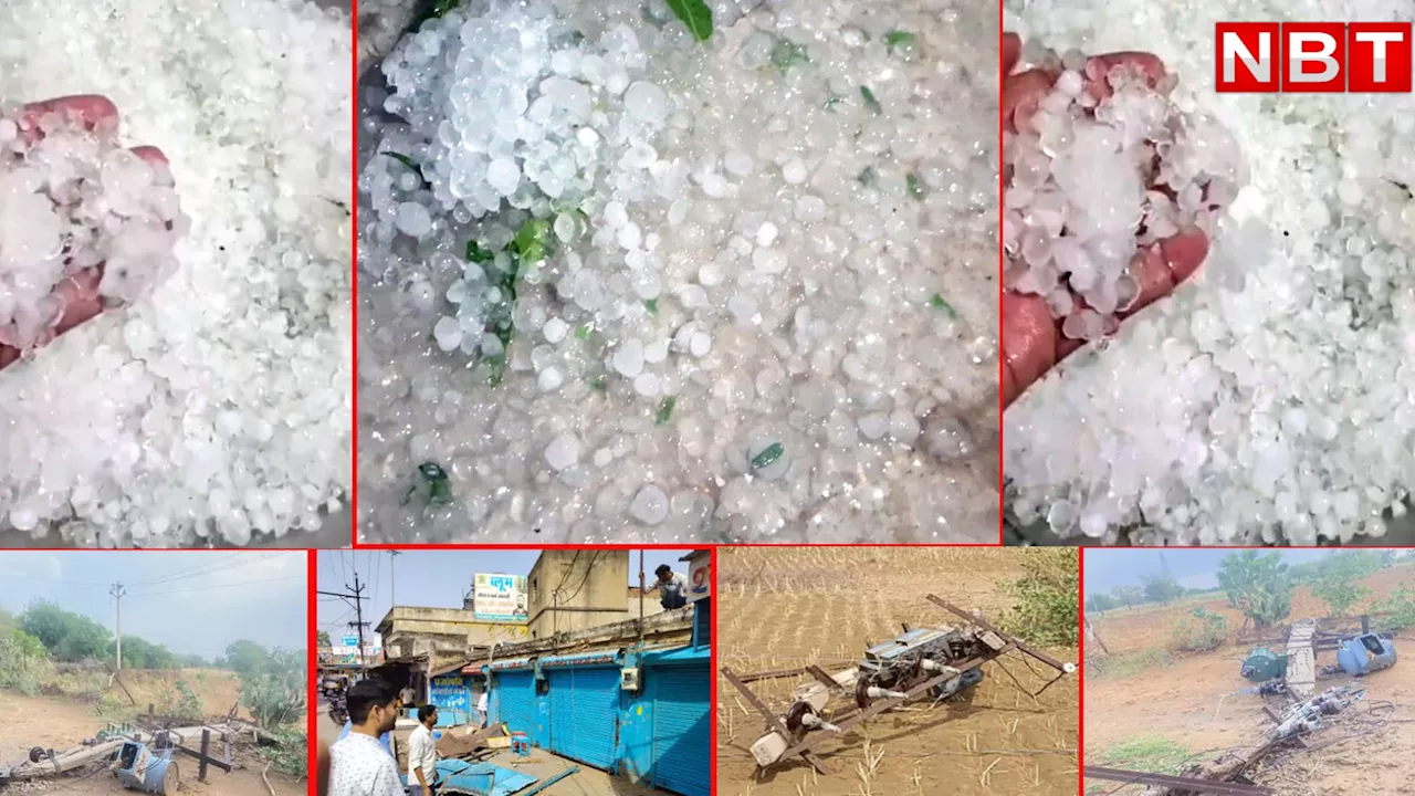 नौतपा से पहले राजस्थान में ओले ने बिगाड़ा 'गणित' ऐसी बदली शेखावाटी की सूरत