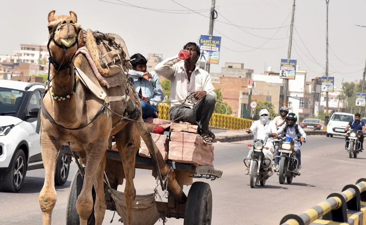 Hottest City: रविवार को भी 45 डिग्री पार पहुंचा पारा, जानें- देश का कौन सा शहर सबसे ज्यादा तपा