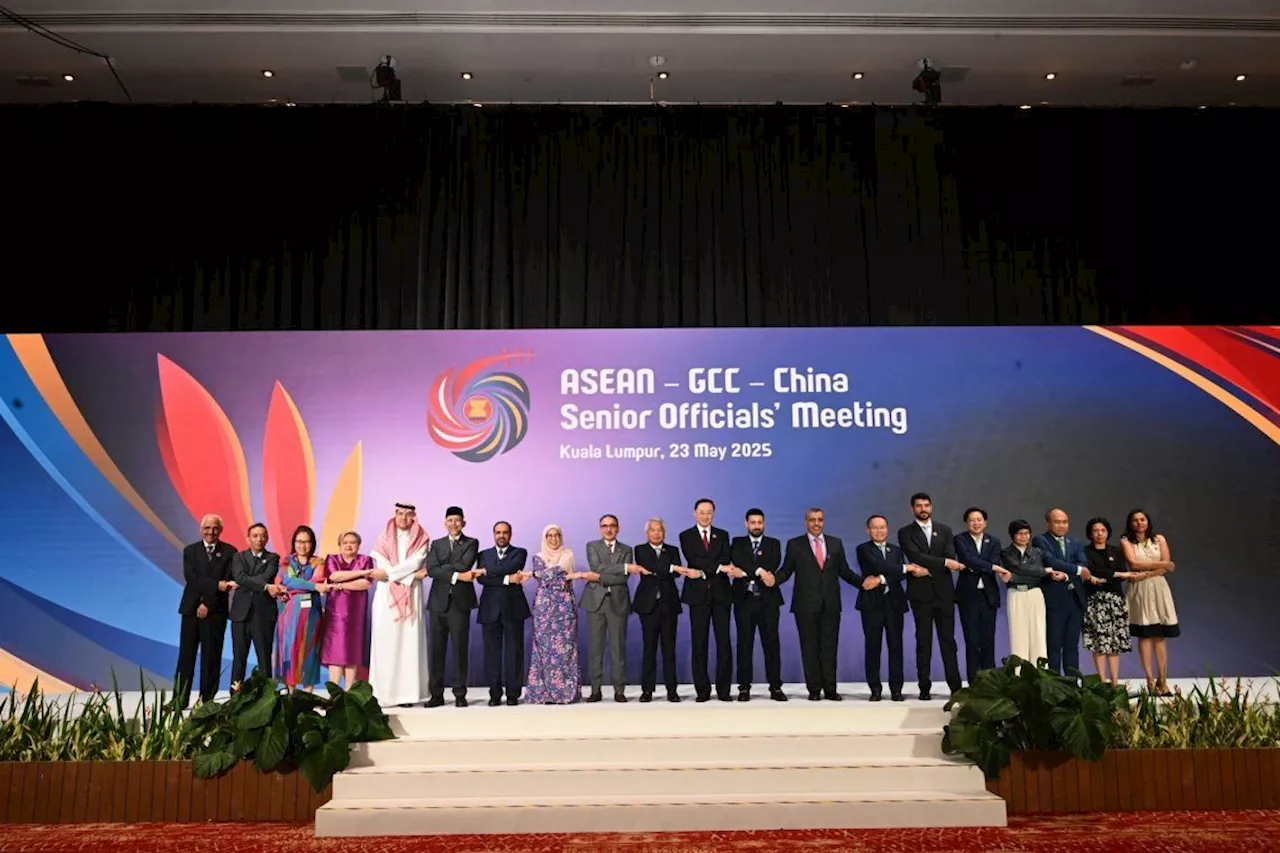 Asean-GCC-China cooperation a new 'golden triangle' in global affairs