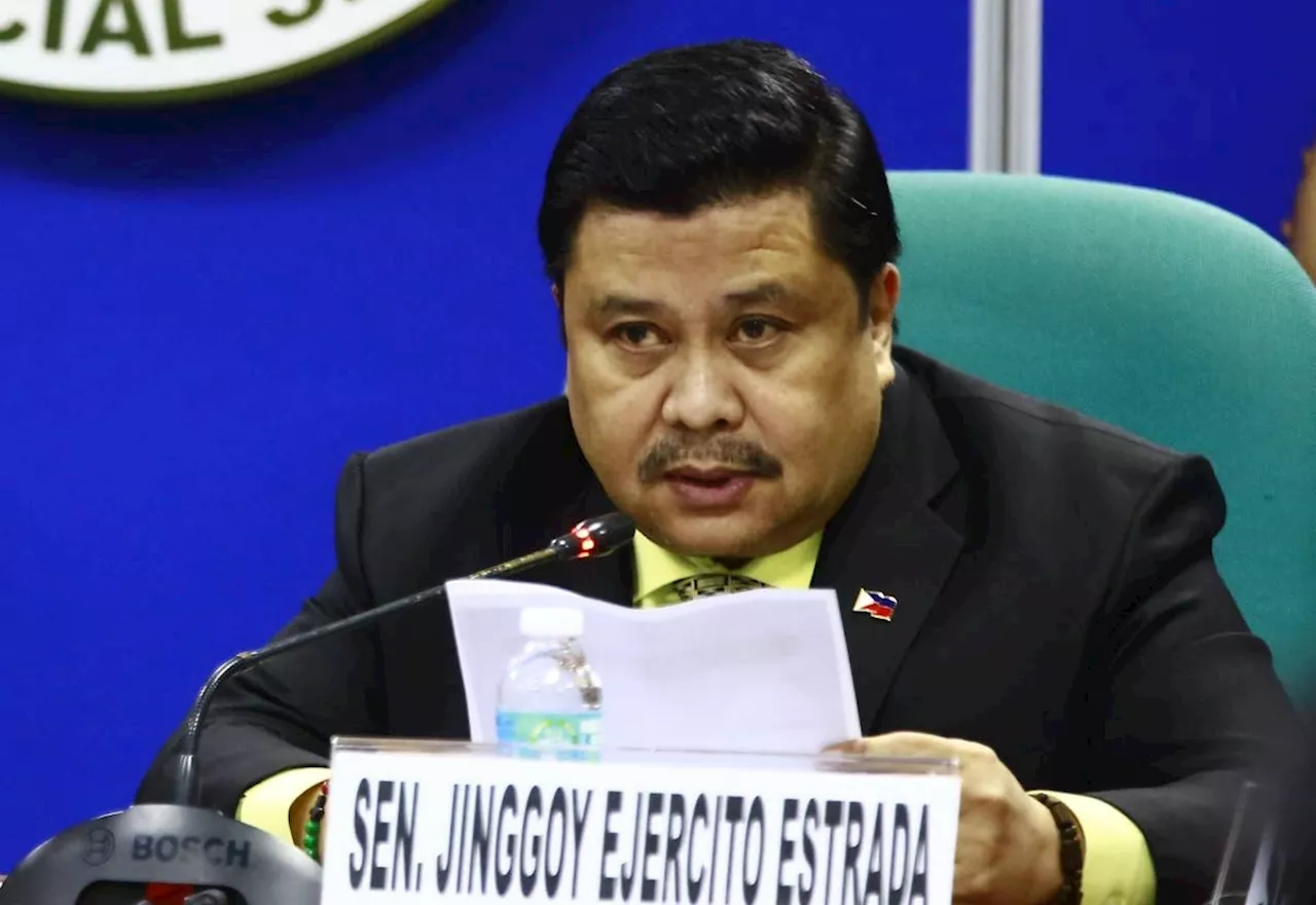 3 charged for mauling Jinggoy's son, nephew