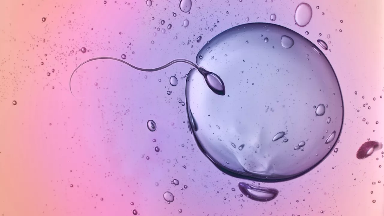 Sperm donor with rare cancer gene fathered 67 children across 8 European countries