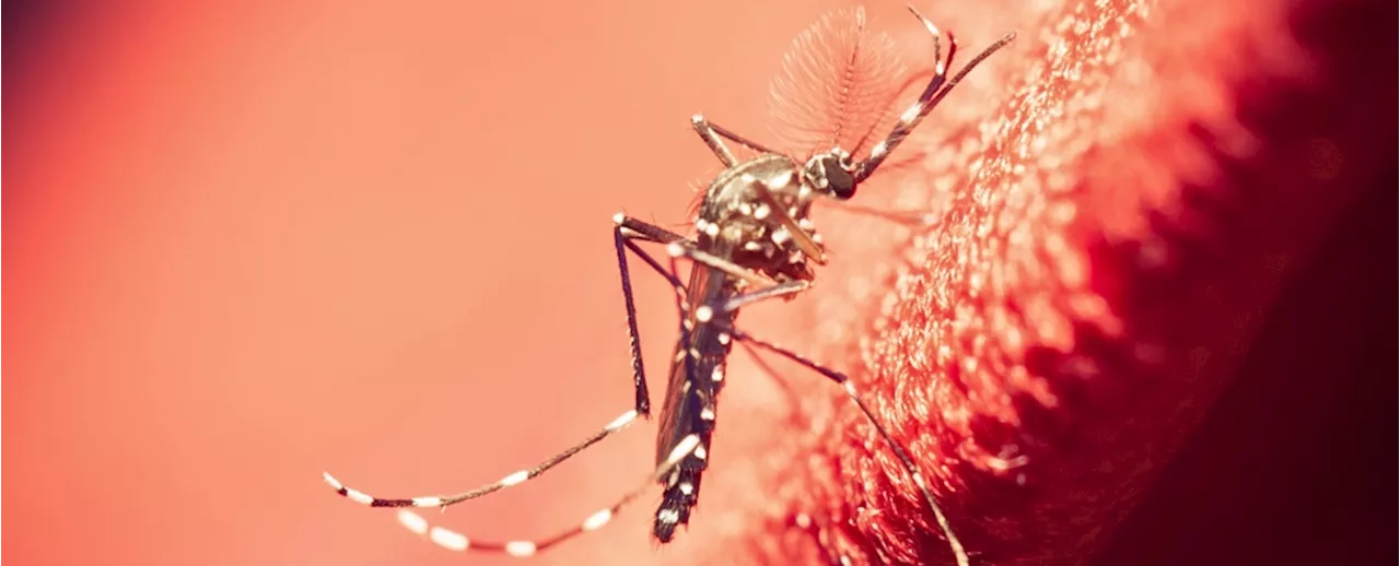 Scientists Discover West Nile Virus in The UK For The First Time