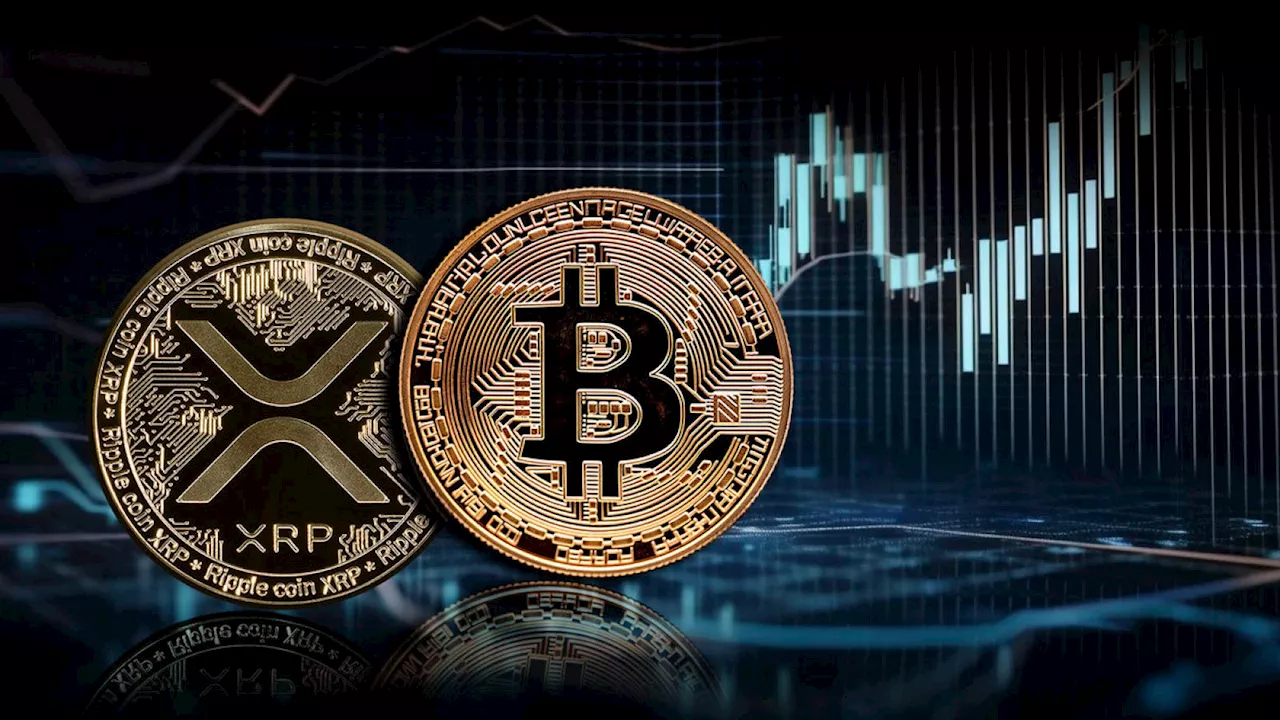 XRP/BTC Bloodbath: Will Things Get Better for XRP Army?