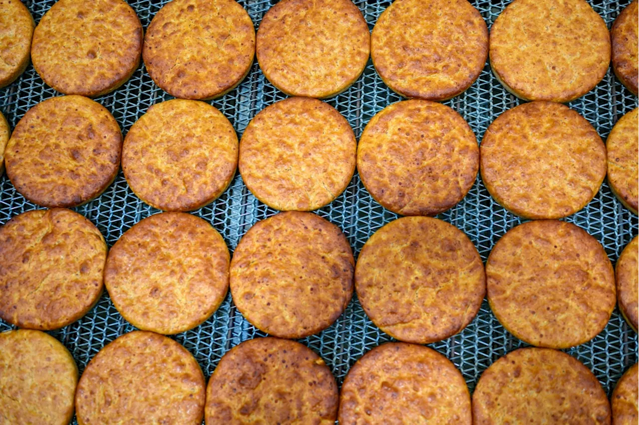 Five-thousand-year-old bread unearthed in Turkiye inspires modern bakery craze