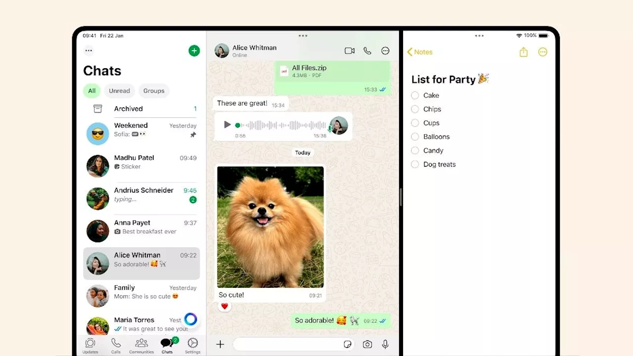 Meta finally gives iPad users better messaging experience with a native WhatsApp app