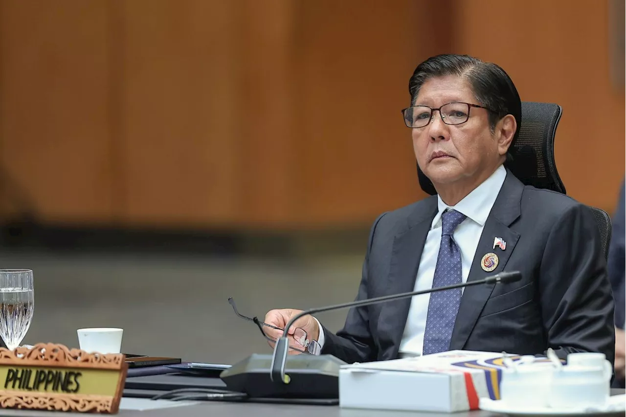 Path ahead for BIMP-EAGA needs innovation, political will, says President Marcos Jr
